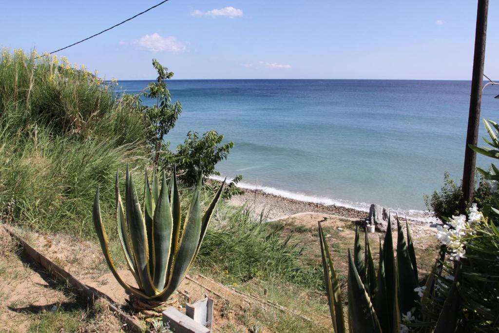 Studios Kaintas Agia Paraskevi  Extérieur photo